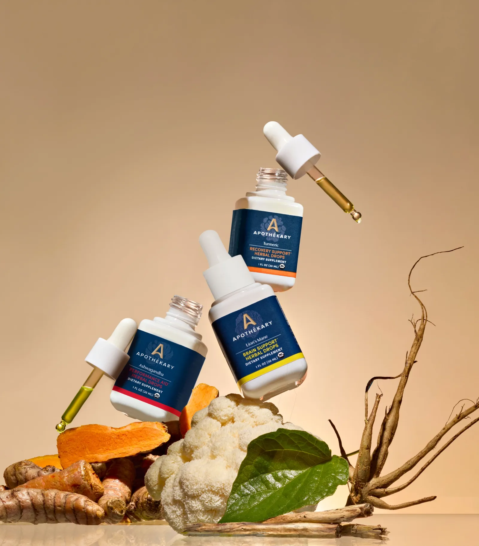 Welcome to Our Store