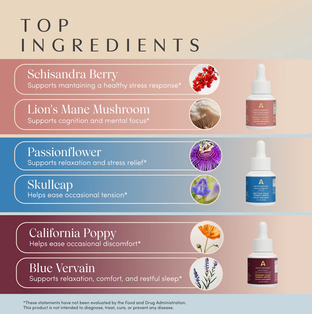 Now & Zen Mini Set - Image 4